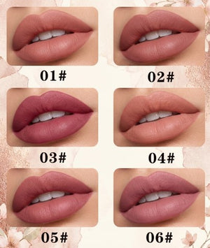 Drohoo Matte Lip Gloss Long Lasting  Swatches