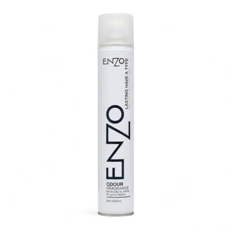Enzo Hair Spray Lasting Have a Type 420ml (Large) - Urban Beauty