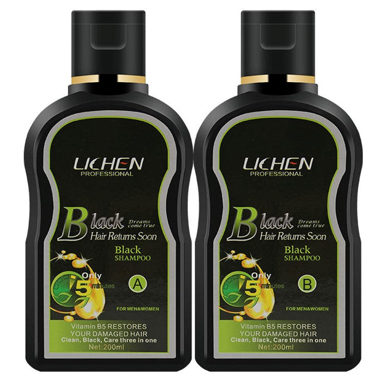 Buy Lichen Hair Color Shampoo online in Pakistan - Urban Beauty