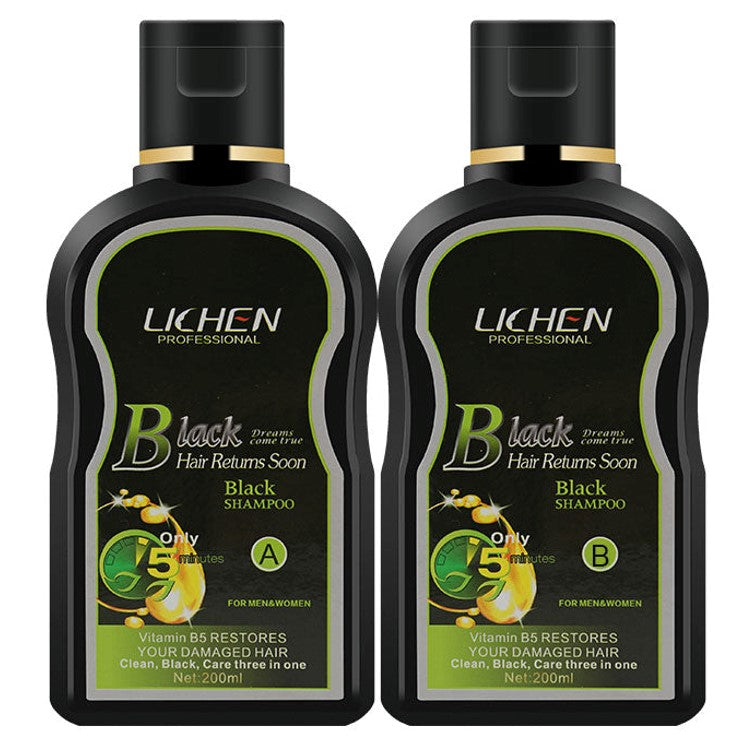 Lichen Black Hair Color Shampoo (Pack of 2) 400ml