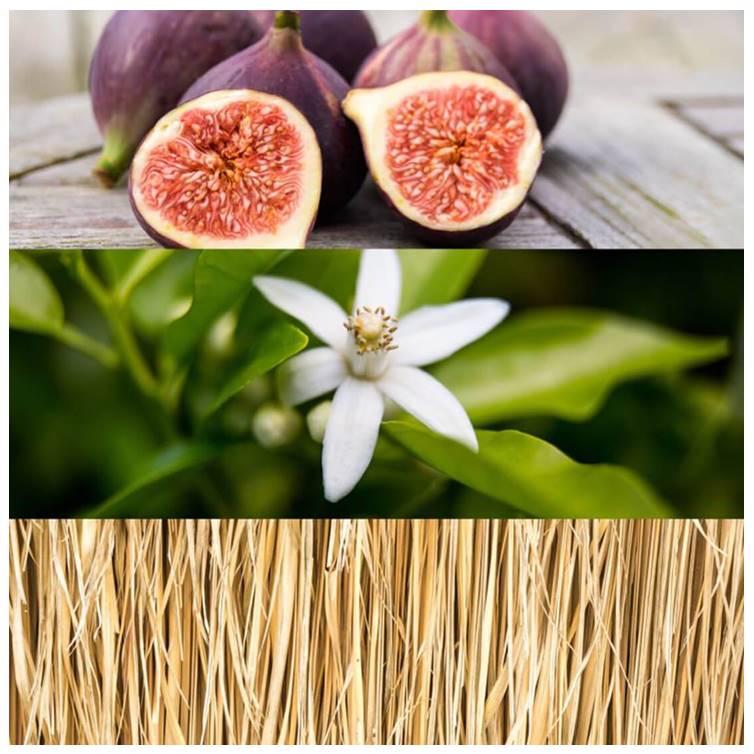 CK One Gold by Calvin Klein 200ml