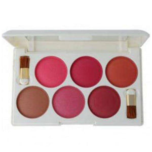 Rivaj 6 in 1 Dome Blush on Palette 01